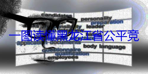 一图读懂黑书制度竞争审查文龙江省公平